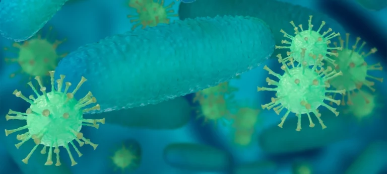 תזמון מושלם: השעון הביולוגי של חיידקי המעי שלכם