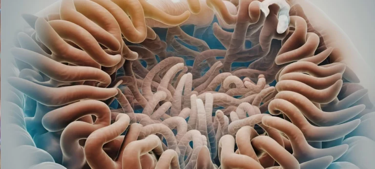 המיקרוביום האנושי: המערכת האקולוגית שבתוכנו