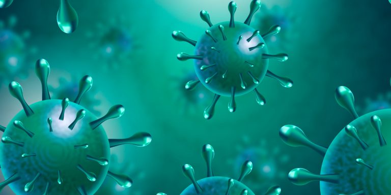 כיצד פרוביוטיקה משפיעה על המוח ומצב הרוח? הכירו את מדע הפסיכוביוטיקה