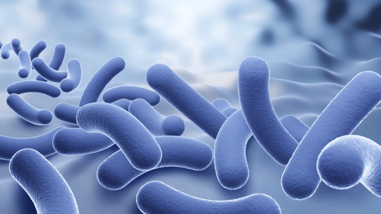 כיצד המיקרוביום משפיע על החשק המיני שלך?