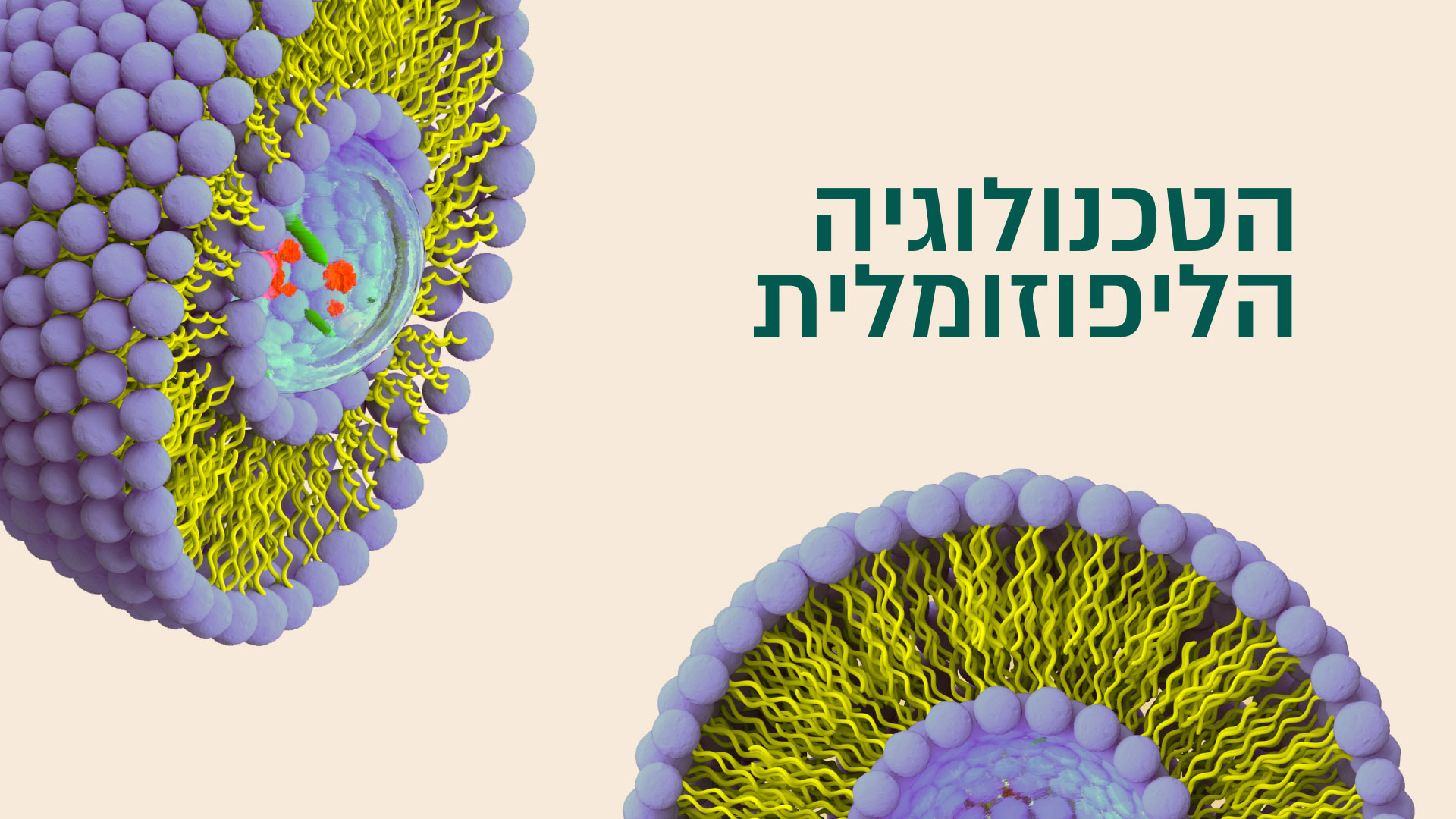 Power Shield 🛡️